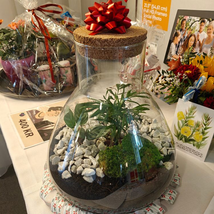 Planteterrarium som den perfekte gaveidé