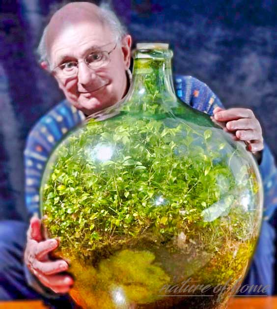 Kan et planteterrarium holde for evigt?