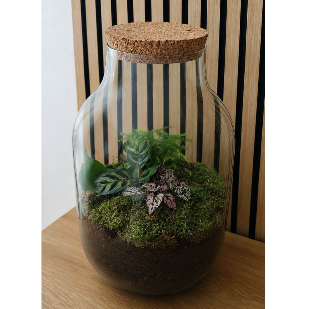 Natura Grandis ↑ 39 cm