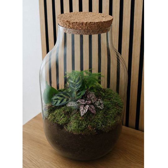Natura Grandis ↑ 39 cm