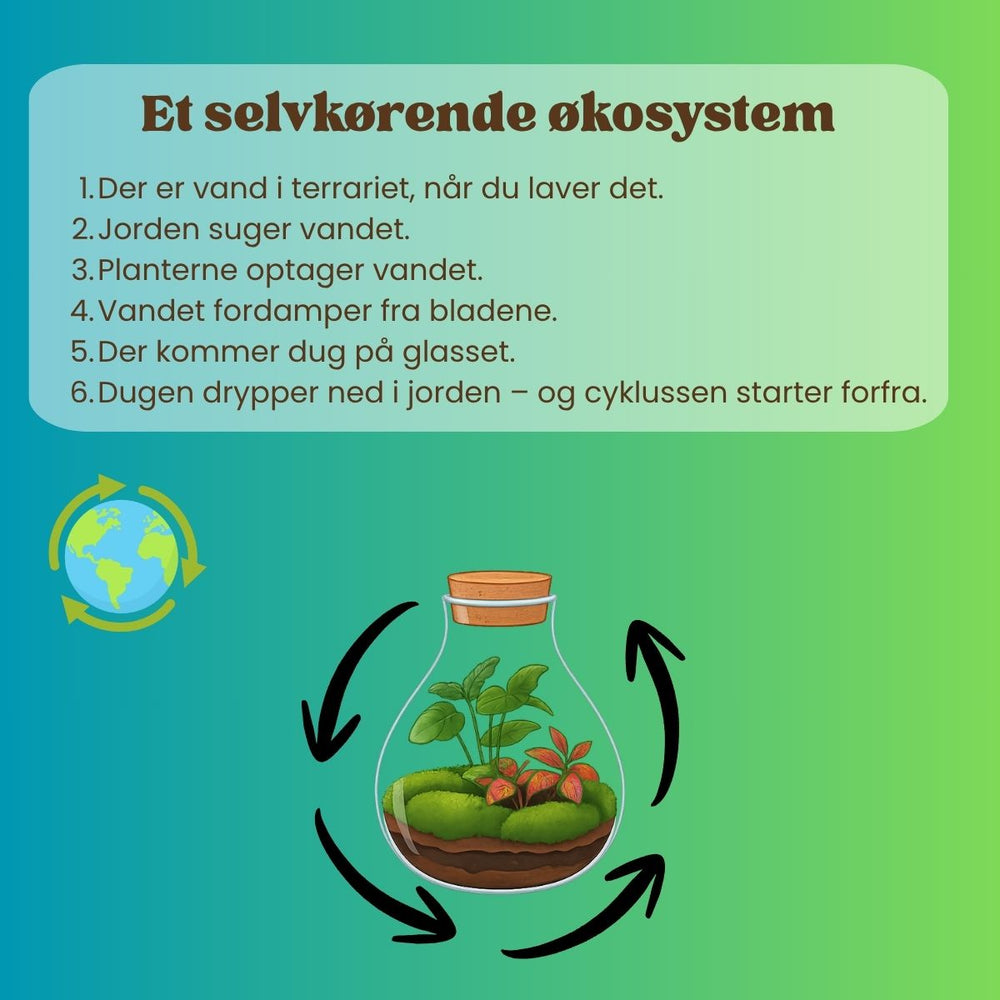 Planteterrarie cyklus