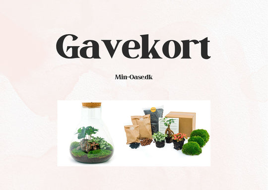 Min Oase Gavekort