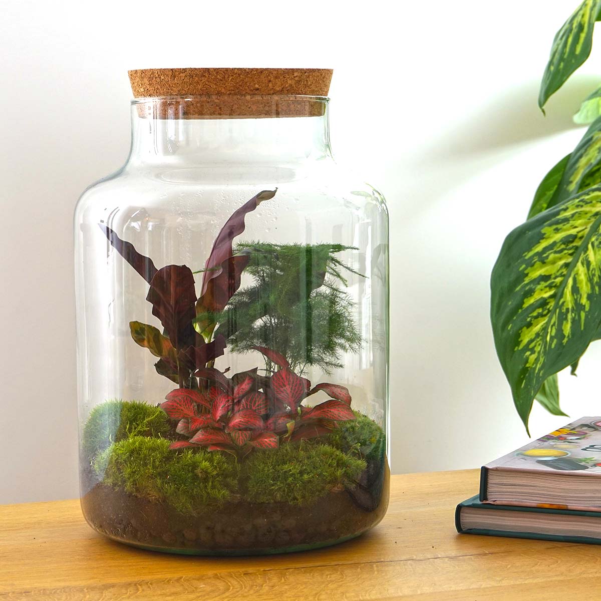 Natura Classic Planteterrarium