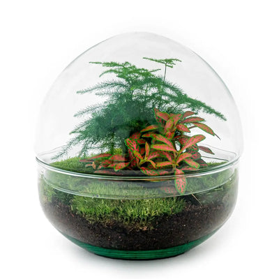 Globen ↑ 28 cm