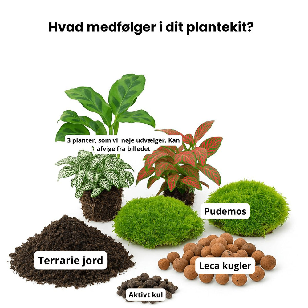 Plantepakke